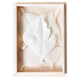 Morihata - HA KO Paper Incense Box (Set of 5)