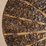 Rare Shell Wall Mounted Light Fixture