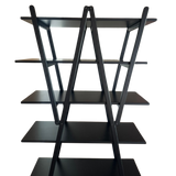 Ebony 'Nuvola Rossa' Bookcase by Vico Magistretti for Cassina