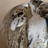 Woodland Organic Moon Pod I by April Johnston