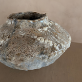 Small Orbicella Low Vessel by April Johnston