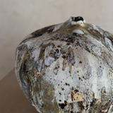 Woodland Organic Moon Pod II by April Johnston