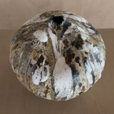 Woodland Organic Moon Pod I by April Johnston