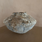 Small Orbicella Low Vessel by April Johnston