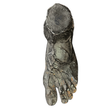 Bronze Human Foot Sculpture