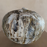 Woodland Organic Moon Pod II by April Johnston