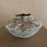 Small Orbicella Low Vessel by April Johnston