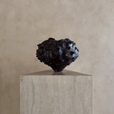 Obsidian Bloom by Natalya Seva