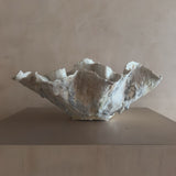 Large White Reef Open Vessel by April Johnston