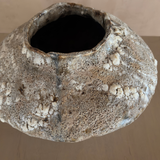 Small Orbicella Low Vessel by April Johnston